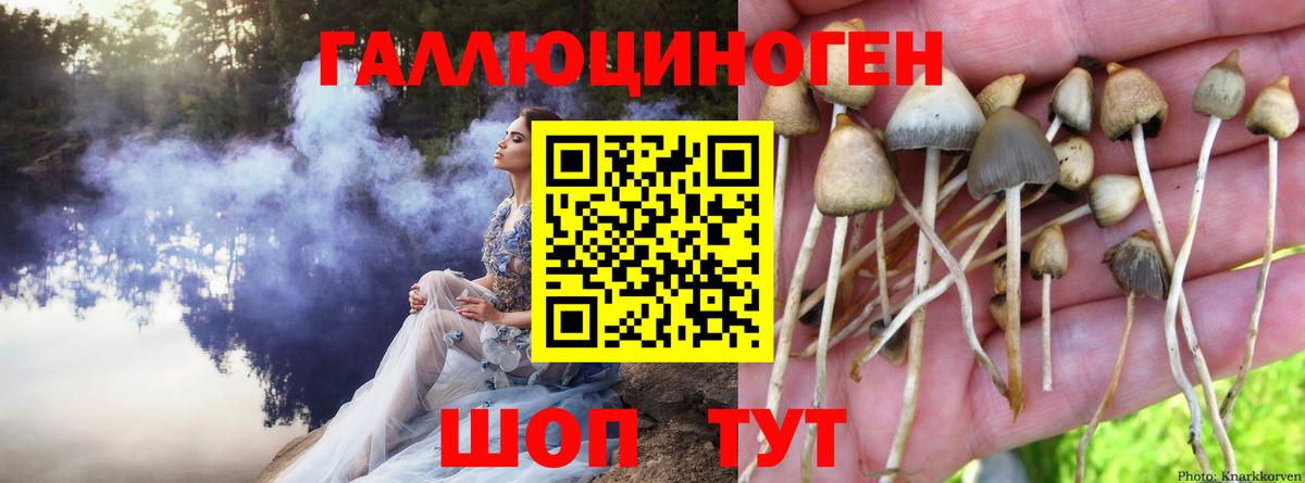 Галлюциногенные грибы GOLDEN TEACHER Соликамск